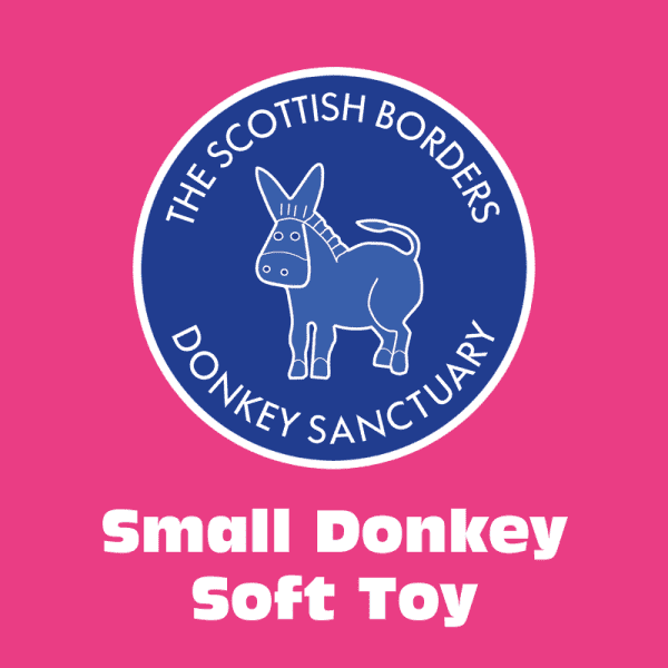 Small donkey soft toy