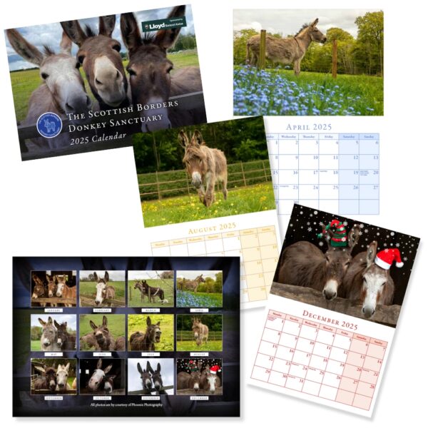 The Scottish Borders Donkey Sanctuary 2025 Wall Calendar