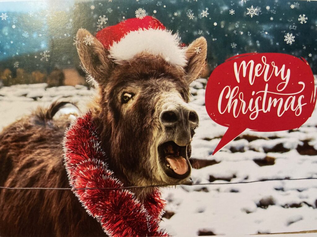 Donkey Sanctuary Christmas Cards