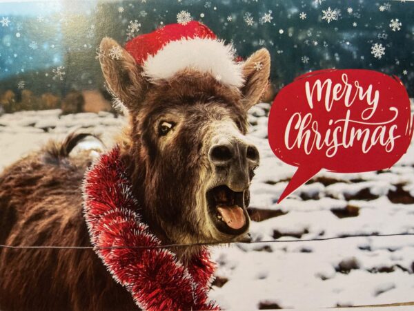 Donkey Sanctuary Christmas Cards