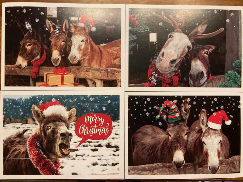 Donkey Sanctuary Christmas Cards